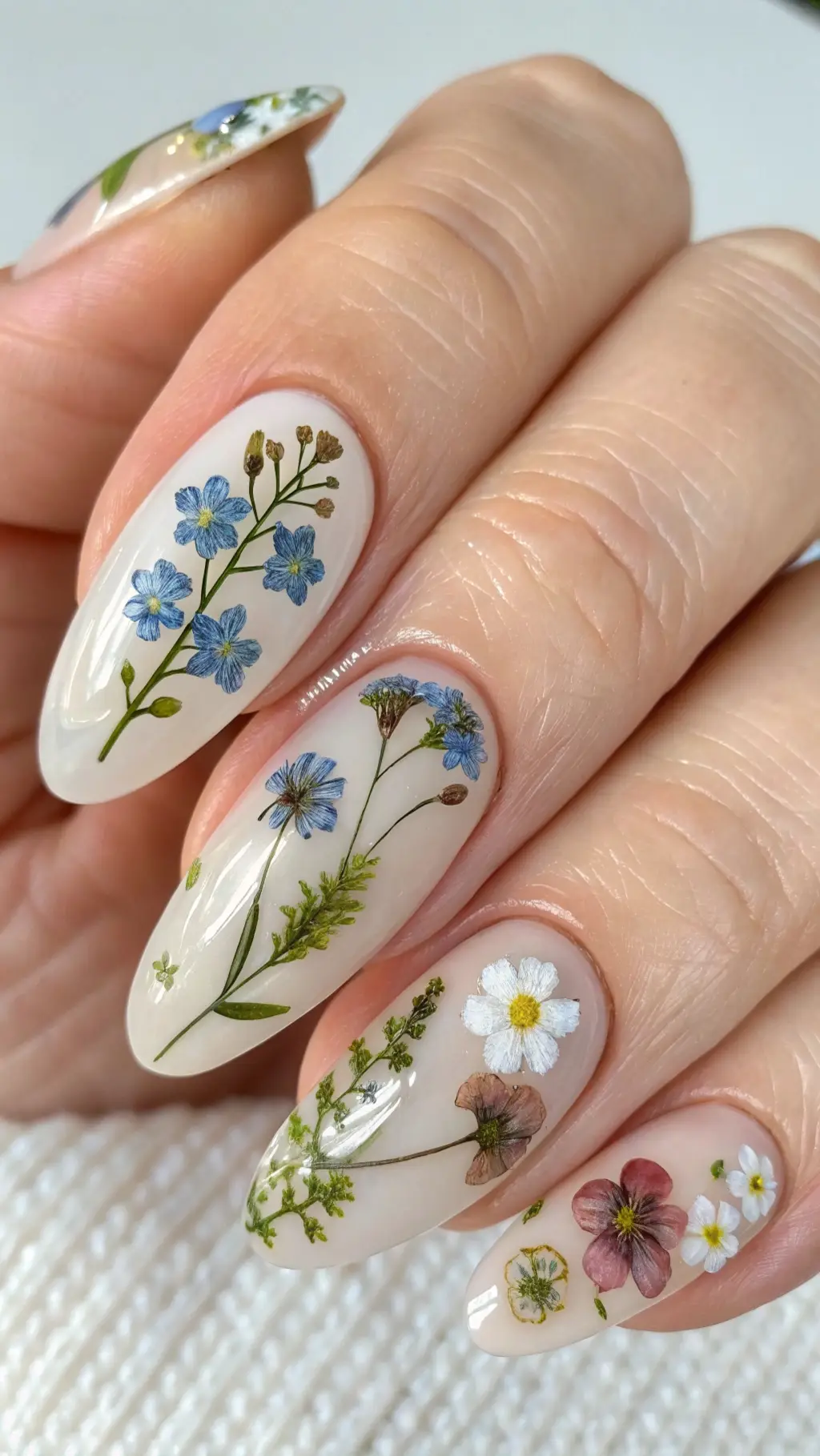Pressed Wildflower Fantasy
