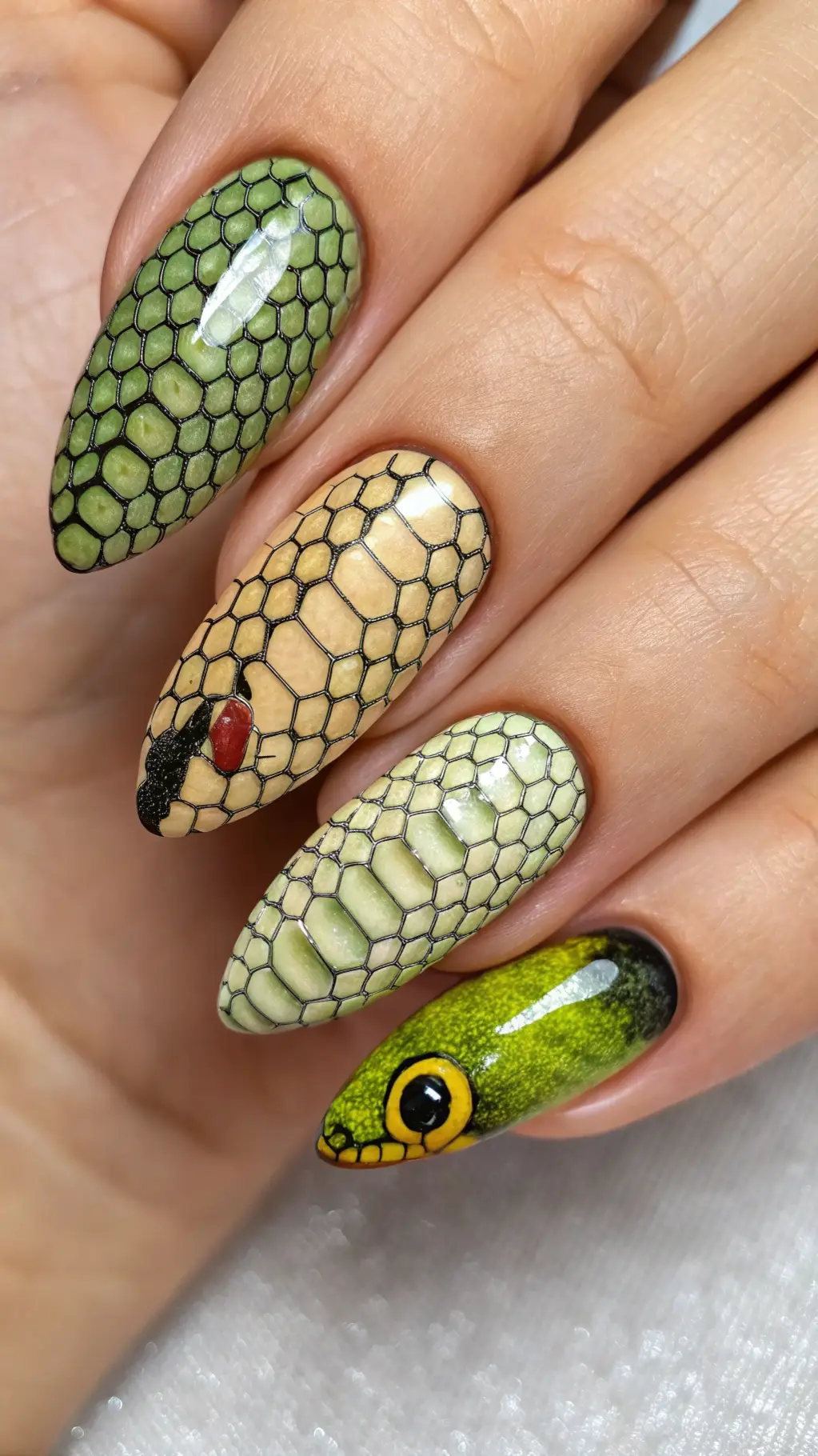 Textured Snake Skin