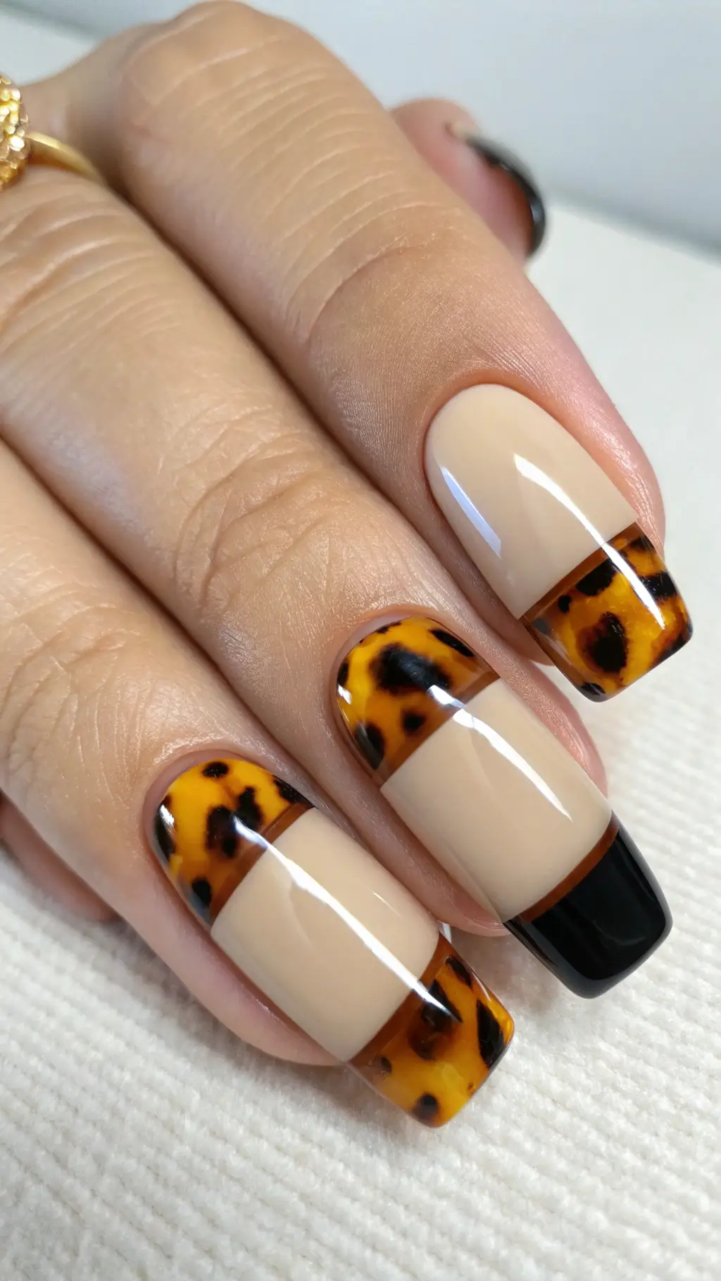 Tortoiseshell Accent