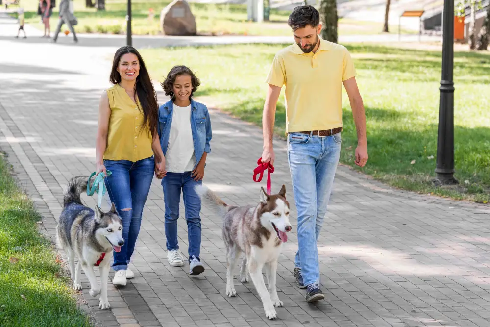 Dog Walking (Group Sessions to Maximize Earnings)
