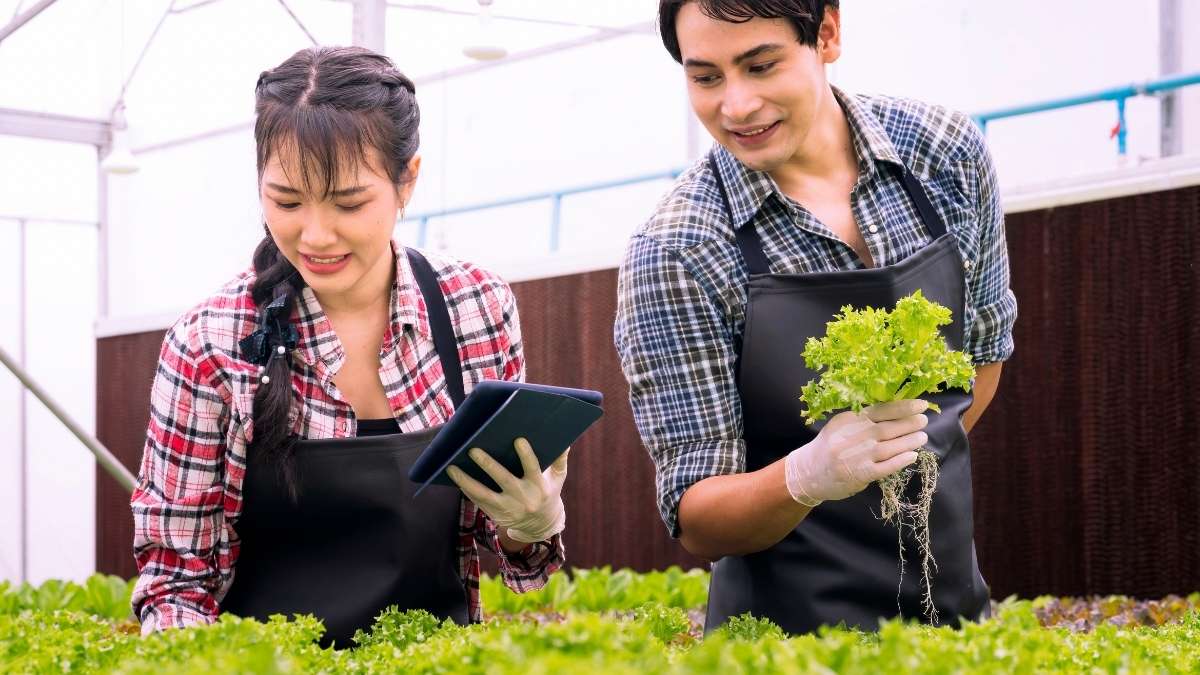 Agritourism and Experience-Based Revenue: Turn Your Farm Into a Destination