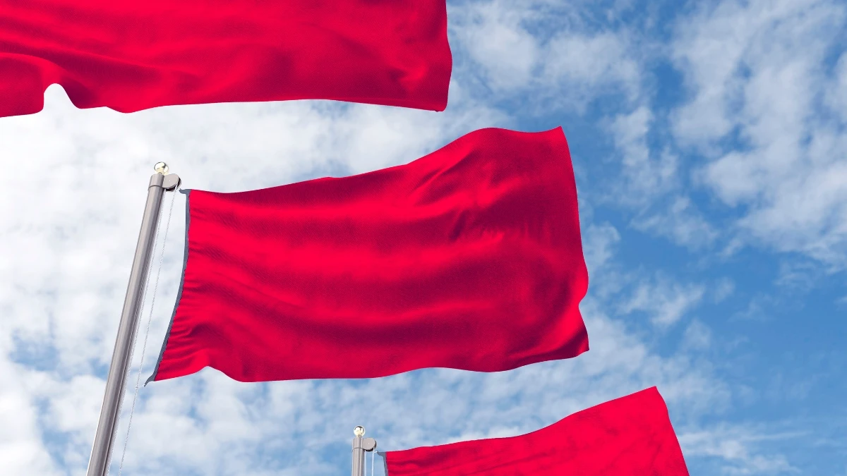 IRS Red Flags 11 Subtle Mistakes That Could Trigger an Audit (Even If You’re Honest)