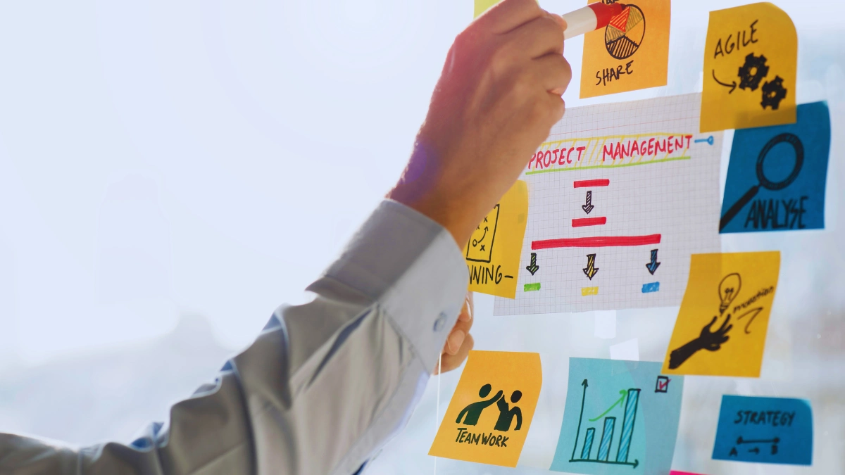 Project Manager