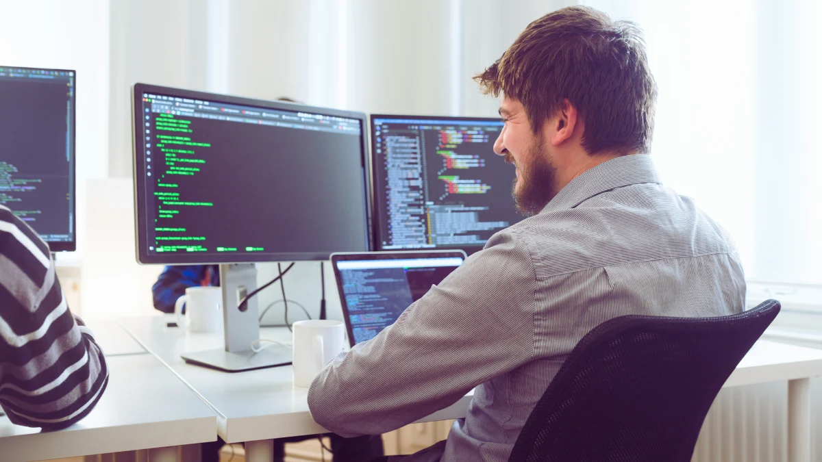 Software Developer