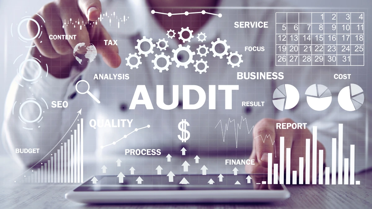 The Rich Bought Their Way Out of Audits