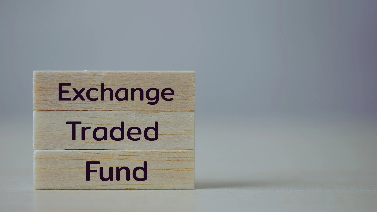 Vanguard Total Stock Market ETF (VTI) - The Whole Market