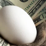 RILA vs. FIA vs. CDs Which Safety Net Fits a $500k Nest Egg