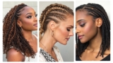 15 New Small Braids Hairstyles